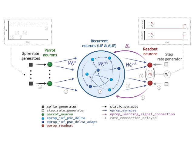 _images/eprop_supervised_classification_infrastructure.png